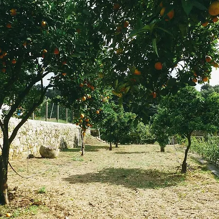 Casa De Campo Da Quinta Do Barreiro *