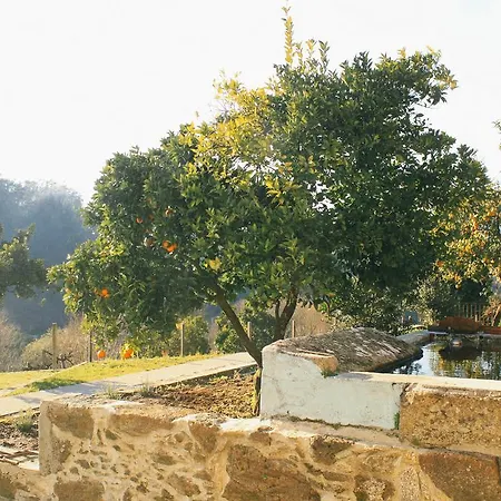 Casa De Campo Da Quinta Do Barreiro * Ribeiradio